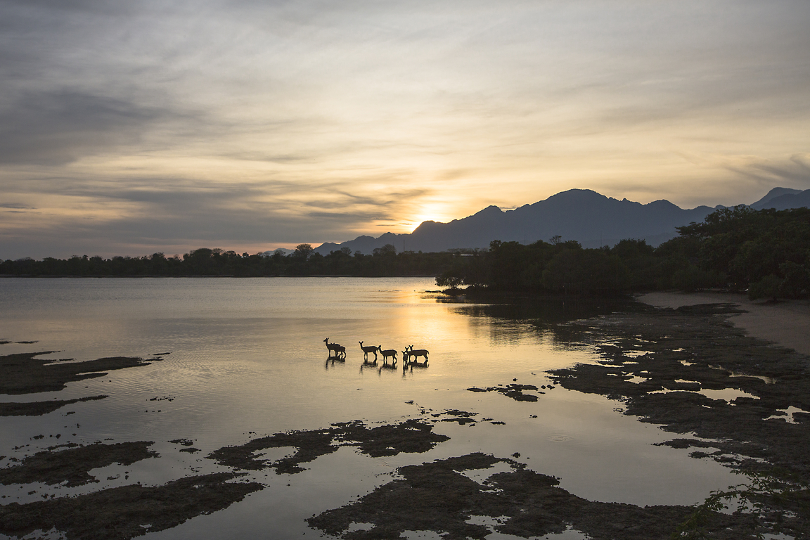 West Bali National Park