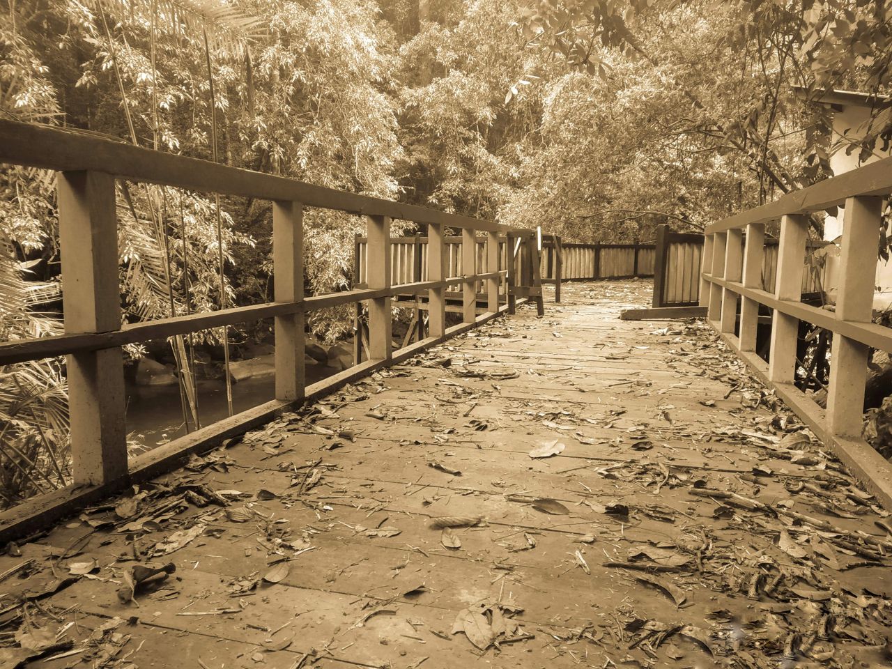 Bukit Baka Bukit Raya National Park