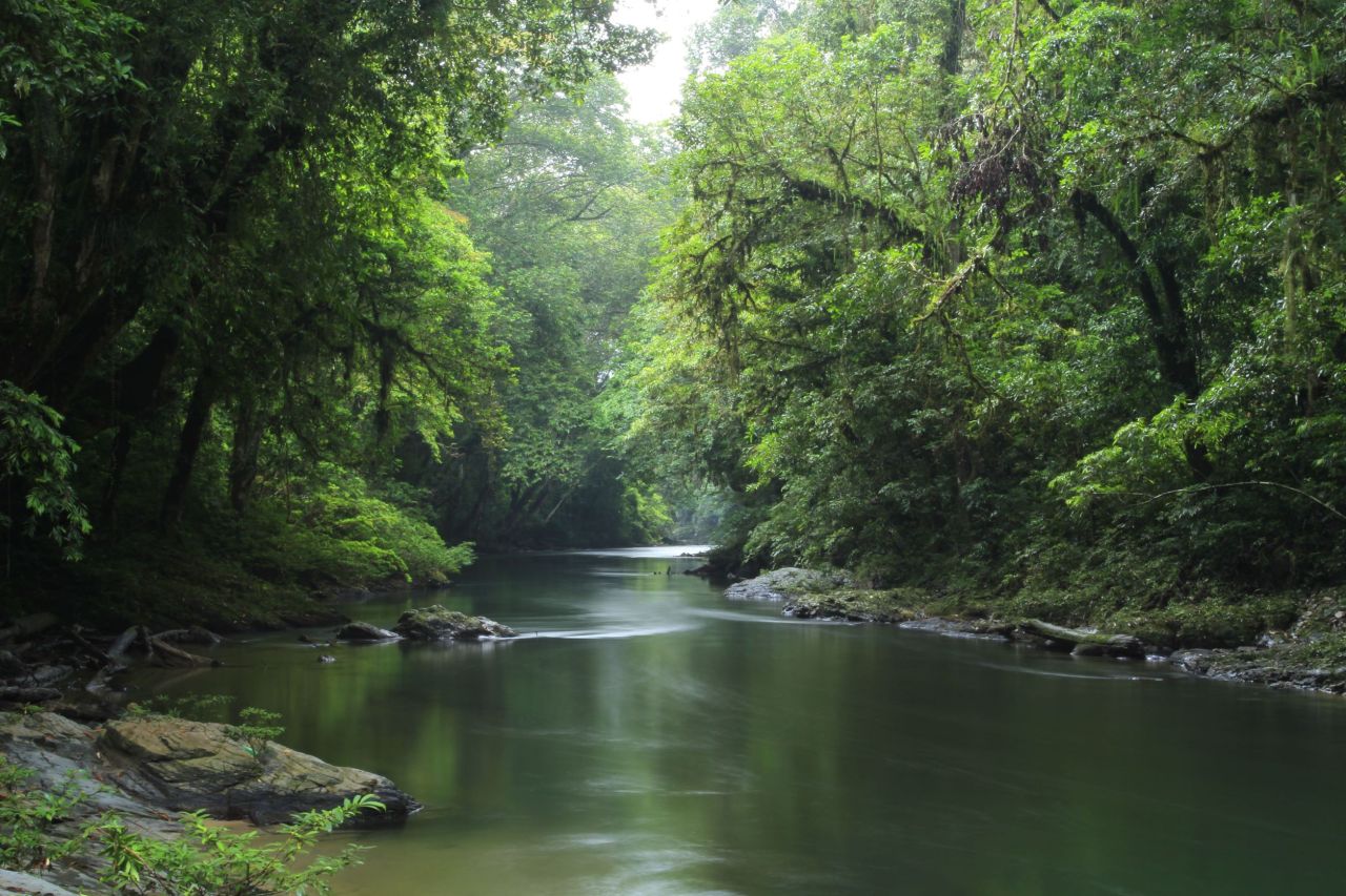 Betung Kerihun National Park