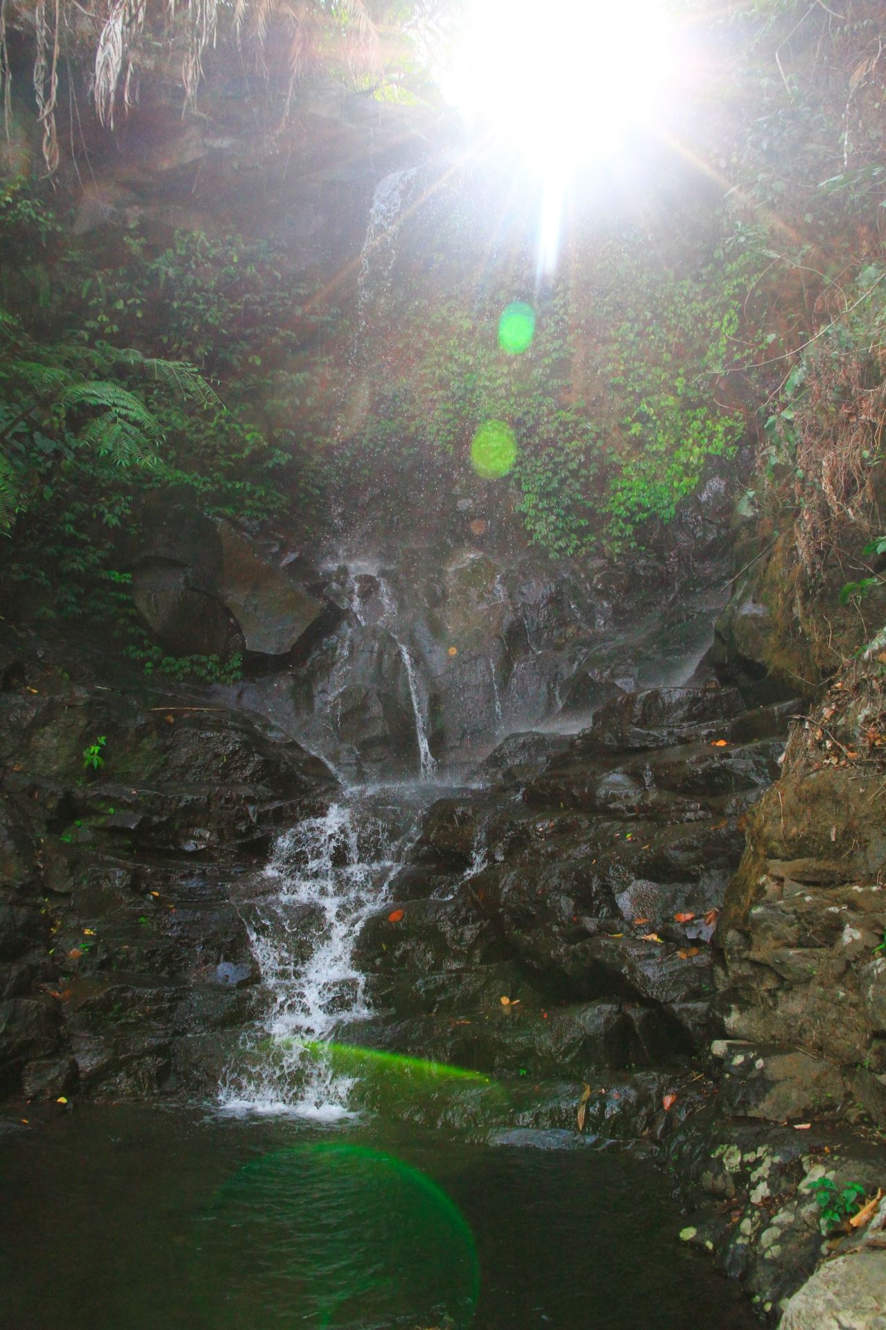 Gunung Ciremai National Park