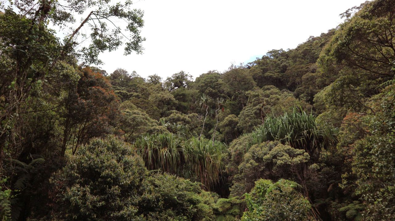 Gandang Dewata National Park