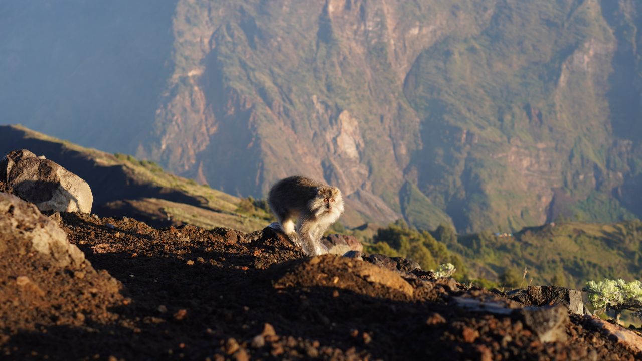 Gunung Rinjani National Park