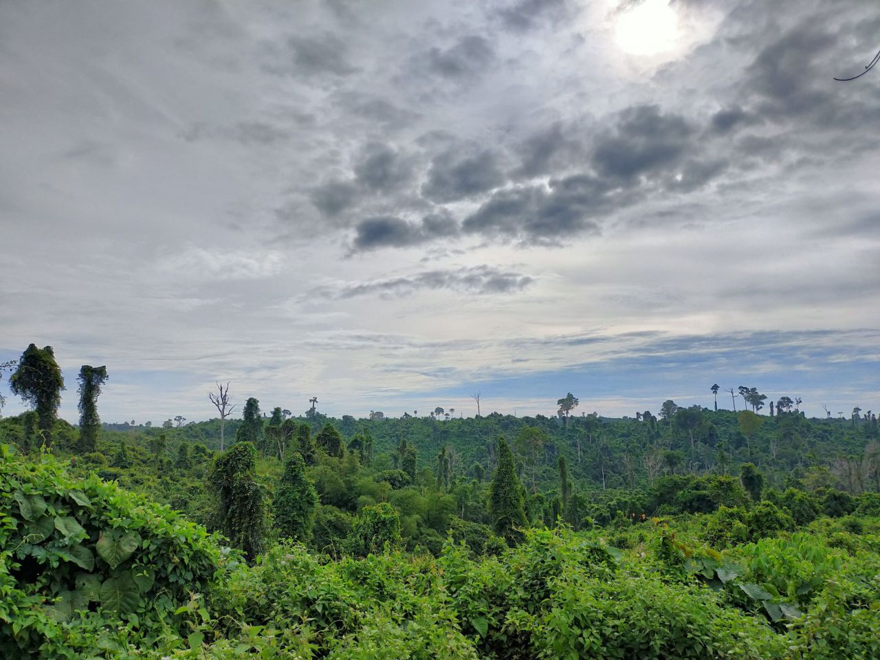 Kutai National Park