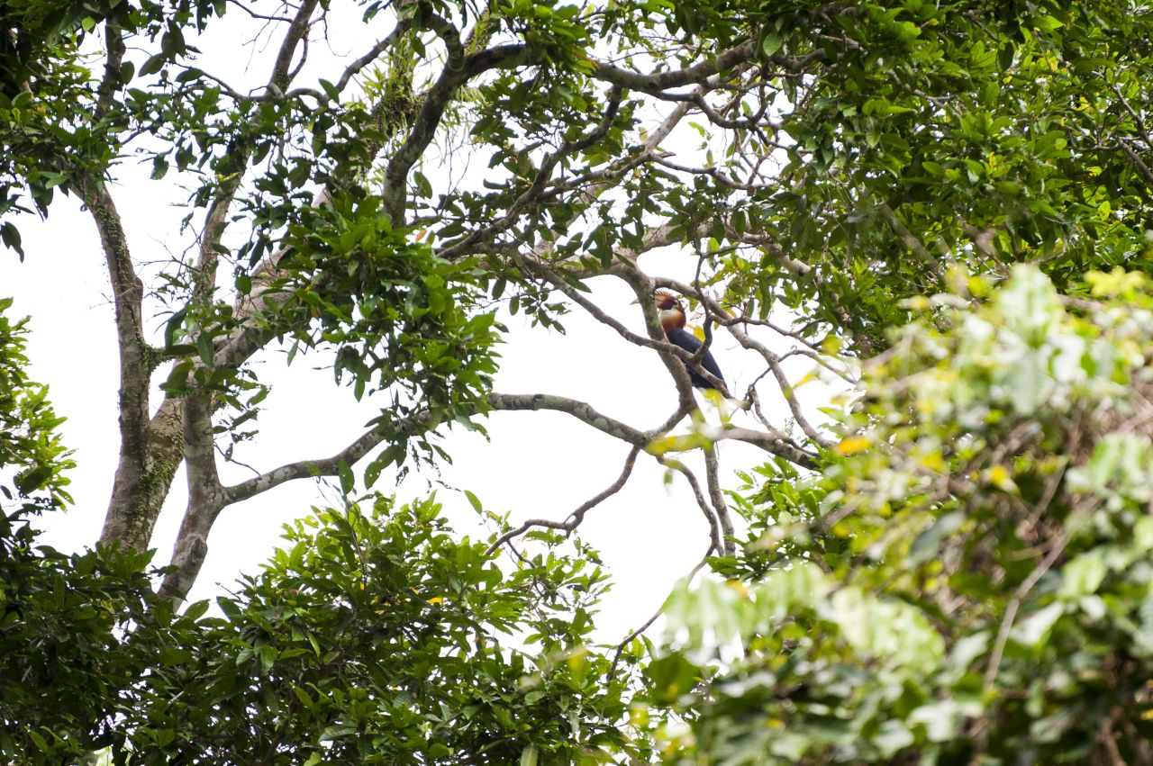 Manusela National Park